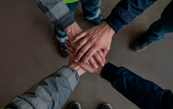 {{brizy_dc_image_alt imageSrc=